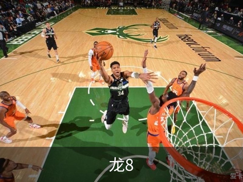 龙8介绍
